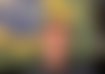 Tarifas nos Estados Unidos e a Campanha de Flávio Bolsonaro Qual o Impacto na Imagem do Pré-Candidato