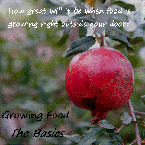 Growing food.gif