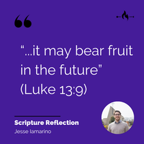 3rd Sunday of Lent - Cycle C