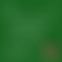 23rd Sunday in Ordinary Time - Cycle C