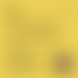 Solemnity of Corpus Christi - Cycle B