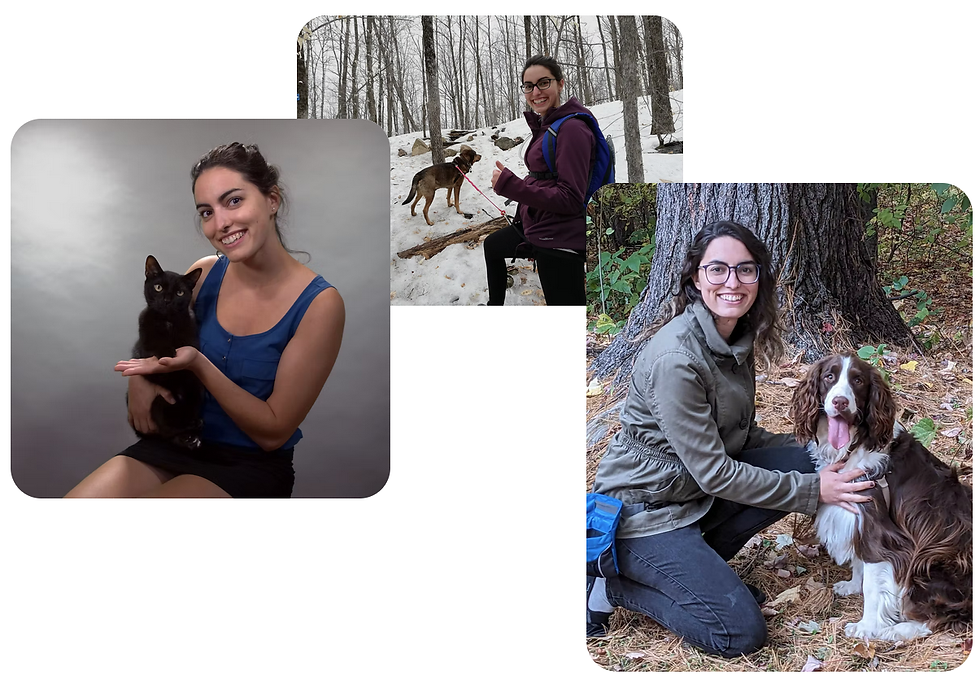 Trio de photos accueil.png