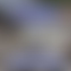 NUEVA FECHA #ACCIONXELPLANETA 23/01