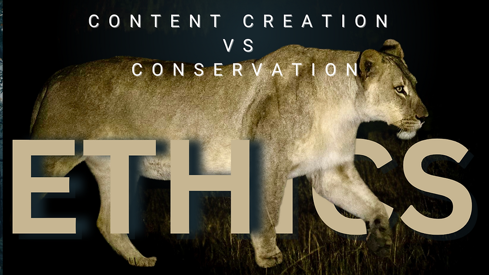 Content Creation vs Conservation: The Effects of Social Media on Wildlife. Part 1