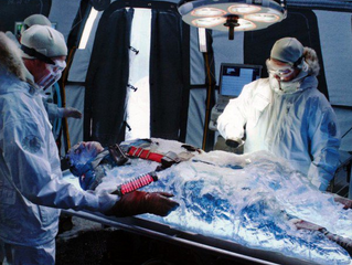 The Science Behind Captain America's Suspended Animation