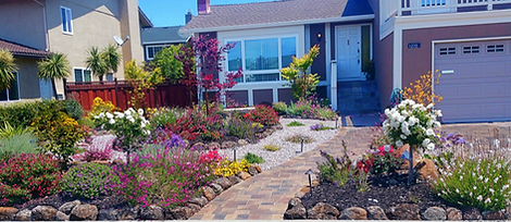 Landscaping in San Mateo
