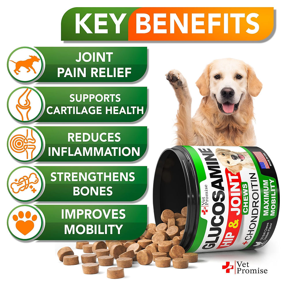 Thumbnail: Glucosamine for Dogs Hip and Joint Supplement for Dogs 120 Mobility Chews