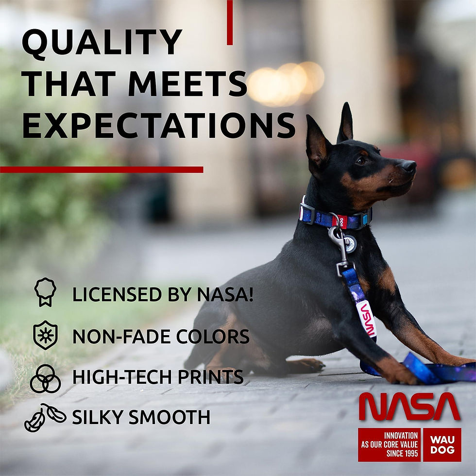 Thumbnail: Nylon Dog Leash for Small Dogs and Medium Dogs 4 Ft x 3/5 inch Wide NASA Color