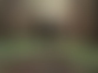 Should I ask for equity as co-founder?