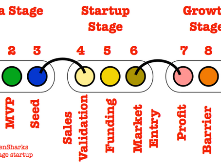 The startup owner's manual: the step-by-step guide for building a great company in 10 steps