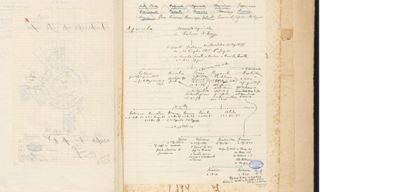 Genealogia Famiglia Agricola di Udine e Risano - Fondo Del Torso/Fondo Joppi 5