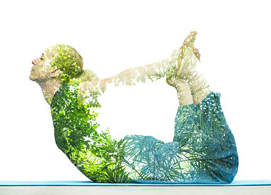 Copy of iStock_000048048116_Large_edited