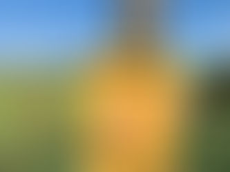 Mit dem Fahrrad und Newton von Loupian nach Marseillan und wieder zurück