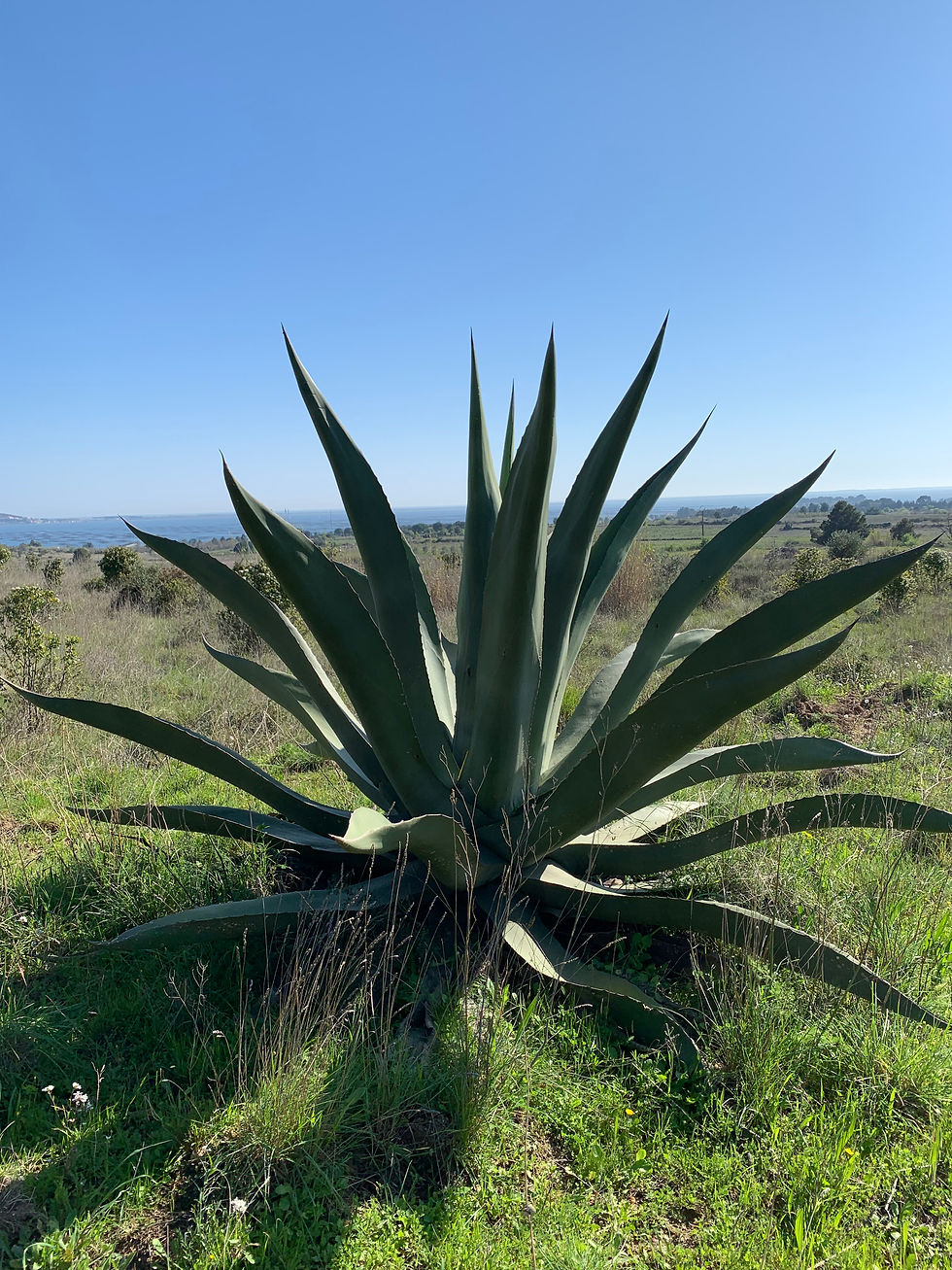 Minimalismus Teil 2 - Das Essentielle