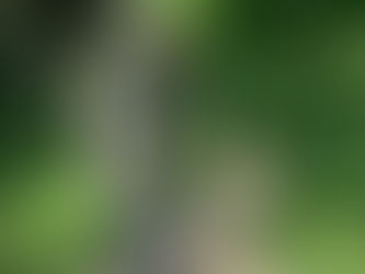 Kopflos ins Verderben