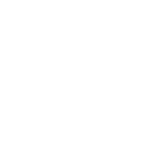 ACE Badminton Academy