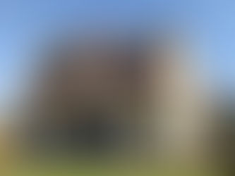 New Vista (뉴비스타)