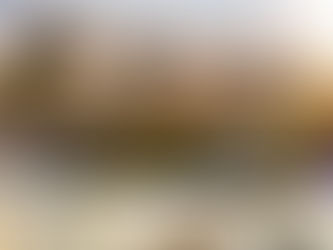 Hyosung Harrington Coat