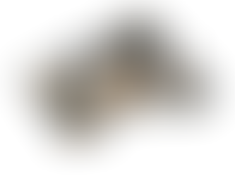 The Maxim Humphreys A Type Model