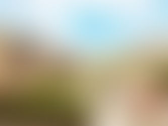 Humphreys Hills The Castle