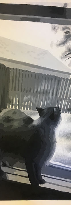 A cat stands in a window sill, staring up. Behind her is a large section of grass surrounded by a suburban backyard fence. The roof of the house next door can be seen behind the fence off to the left, while a tree can be seen behind the fence off to the right.