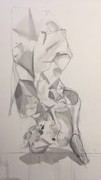 A cow skull sat facing the ceiling with some paper covering it's nose.
