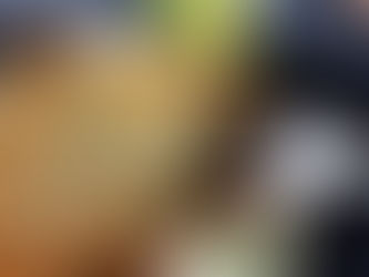 Berenjena apanada con Labneh