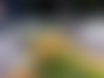 Espárragos frescos con Panko