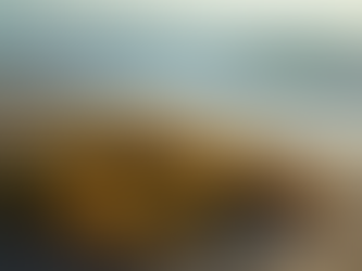 The Health Benefits of Sea Moss: A Canadian Perspective