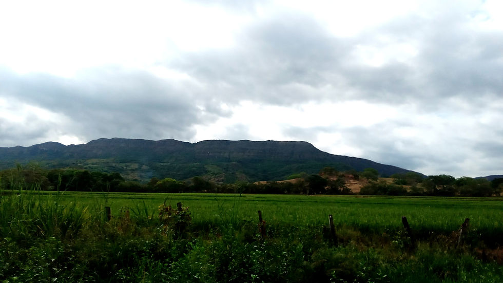 AQUI INICIA PRADO (5).jpg