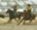 College National Finals (CNFR) Athlete