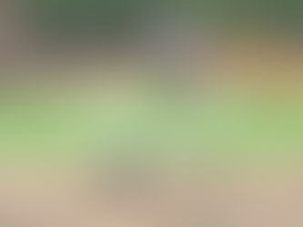 Adaptação Escolar pode ser difícil - Imagem de professora brincando com crianças em parque demonstrando vínculo e cuidado