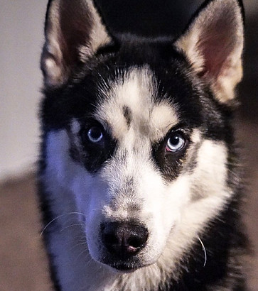 74402C97-5D87-4581-A53F-584FCD4448AB_edi