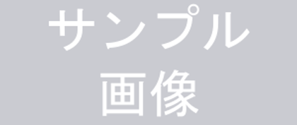 サンプル画像.png