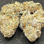 Strawberry Amnesie Nov 2021.jpg