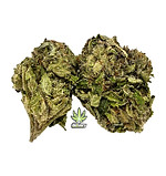 BC Kush 2026.jpg