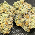 Cookies N Cream nov 2021.jpg