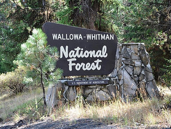 Wallowa-Whitman National Forest.jpg