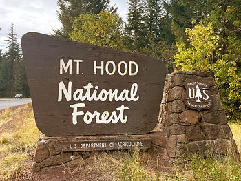 Mt. Hood National Forest_23196091_n.jpg