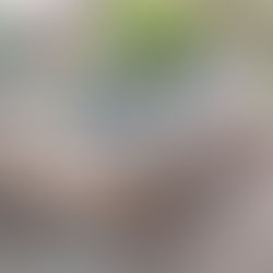 Large Koi Pond Build