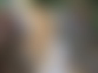 Je wilt meer uit je werk – maar weet niet hoe