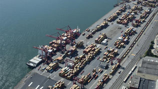 Letter to Minister of Labour Steven MacKinnon Regarding Labour Disruption at Port of Montreal