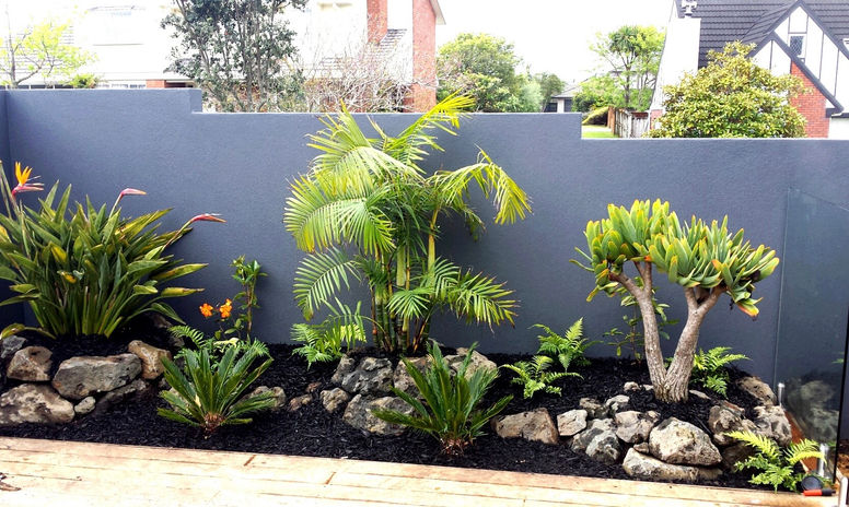 Landscape Planting Landscaping services NZ