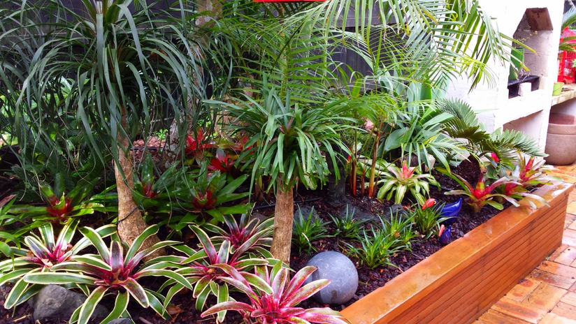 Landscape Planting Landscaping services NZ