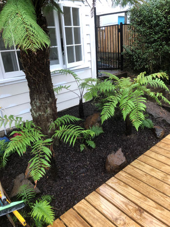 Landscape Planting Landscaping services NZ