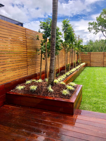 Landscape Planting Landscaping services NZ