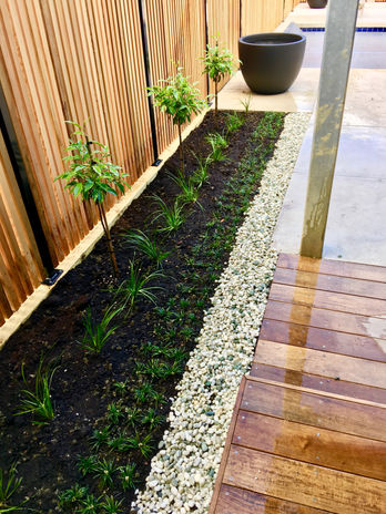 Landscape Planting Landscaping services NZ