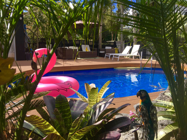 Pools and Spa Pools Landscaping services NZ