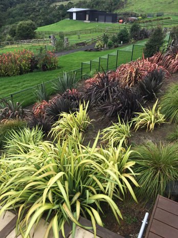 Landscape Planting Landscaping services NZ