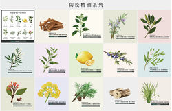 防疫精油系列